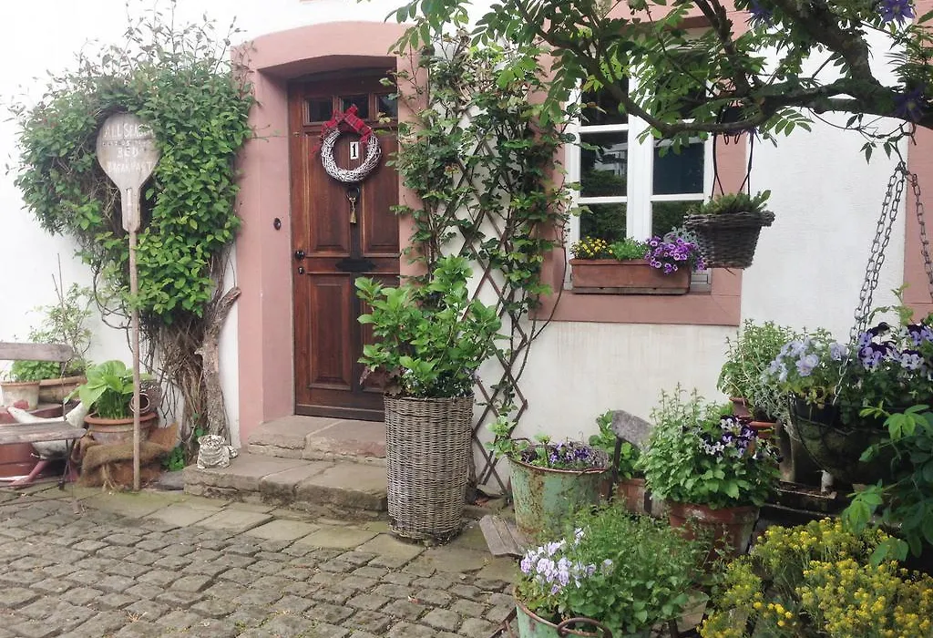 All Seasons Bed & Breakfast-1