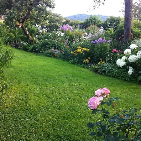 All Seasons Bed & Breakfast-2